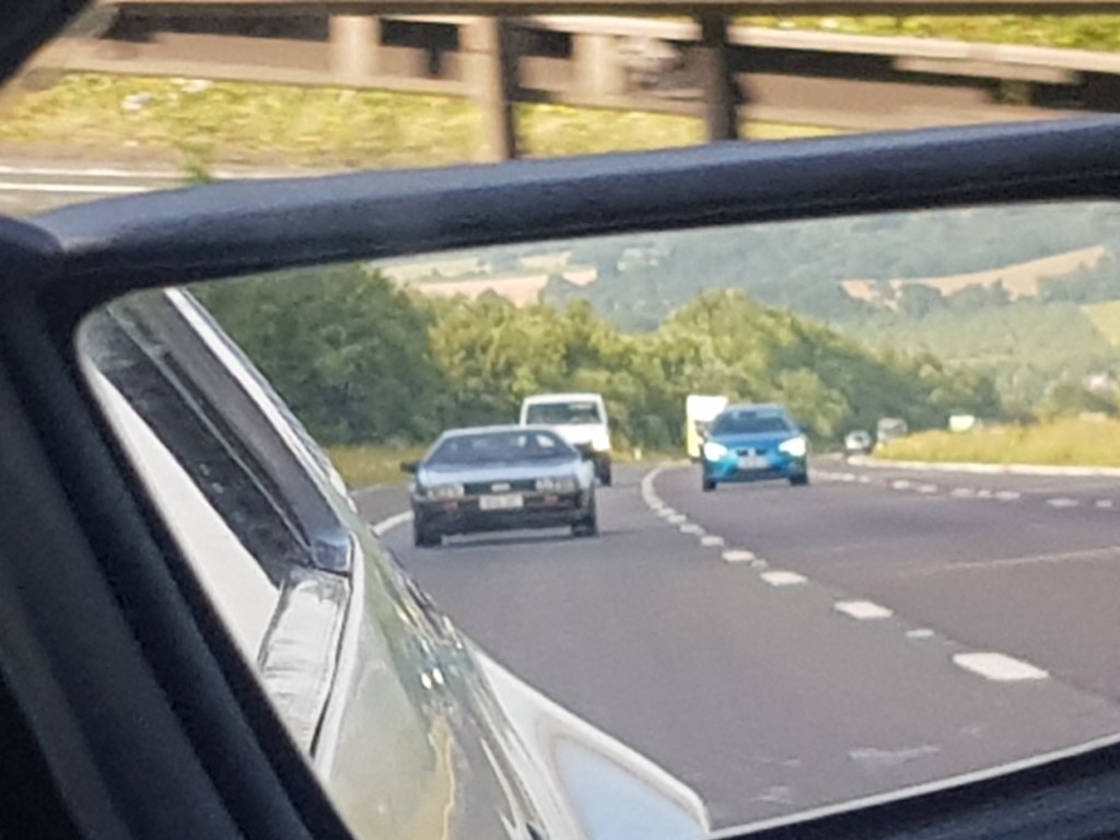 20190724_075834 (Medium).jpg