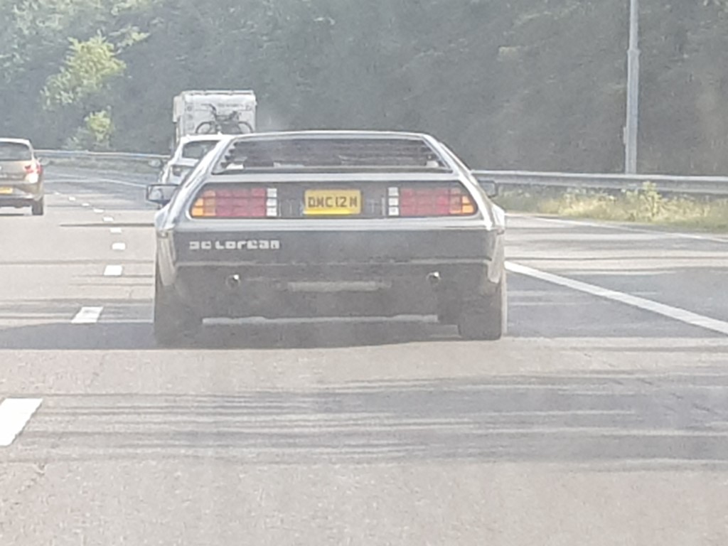 20190725_095915 (Medium).jpg