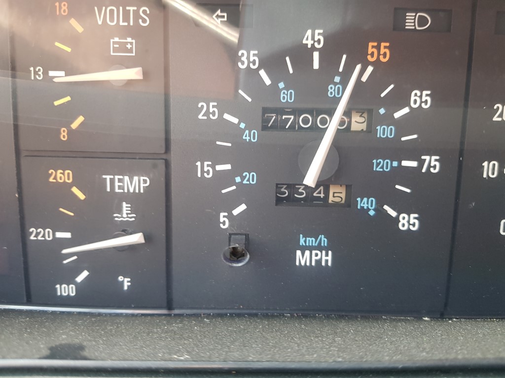 20190728_115226 (Medium).jpg