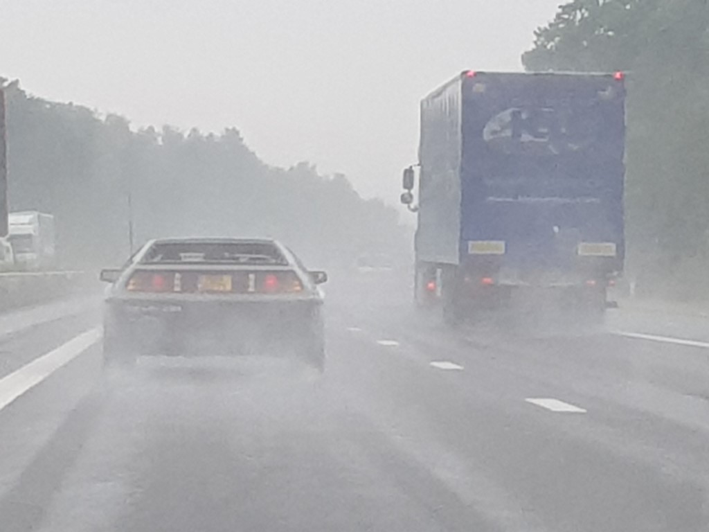 20190728_162434 (Medium).jpg