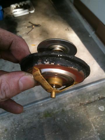 IMG_0116 (Small).JPG