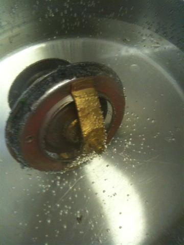 IMG_0119 (Small).JPG