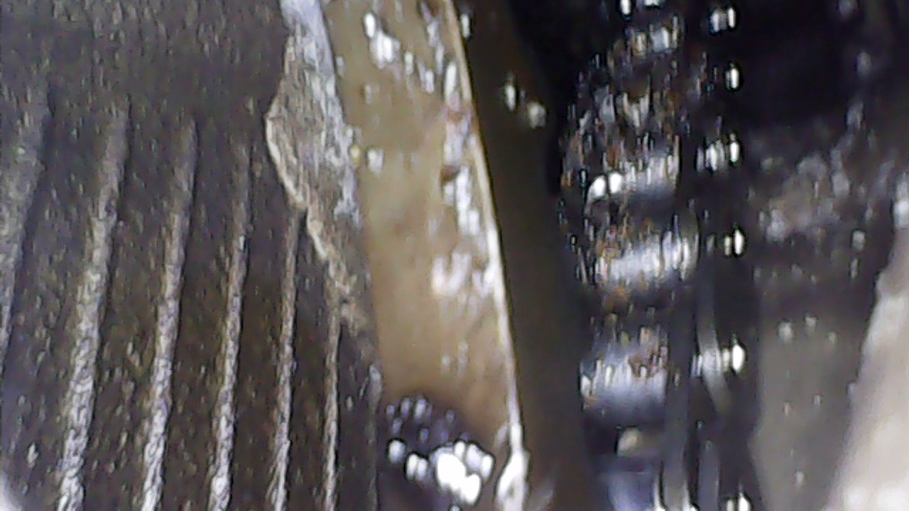 7733C2CD-011A-43E7-884B-E18690105A02.jpeg