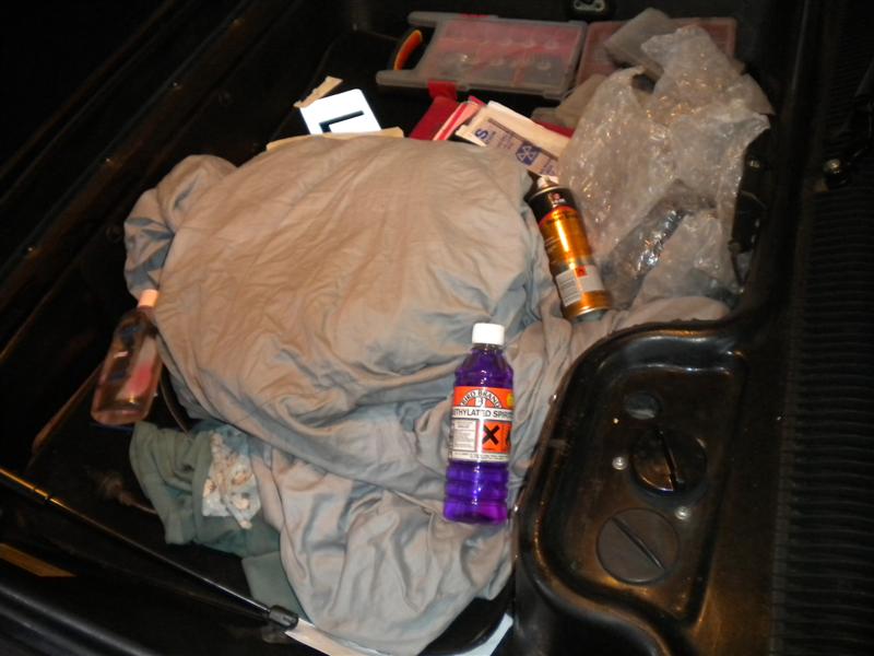 trunk (Medium).jpg