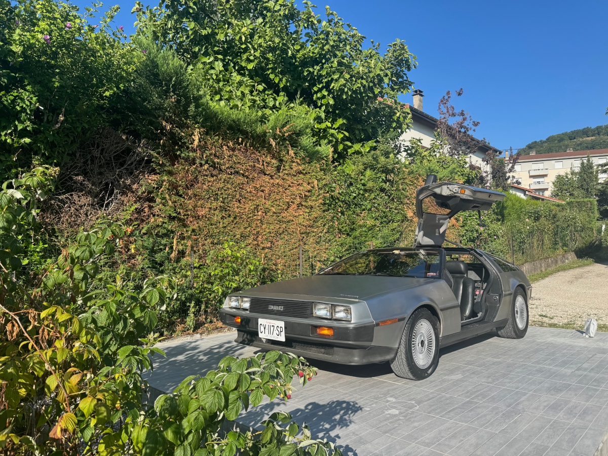 IMG_0547.jpeg