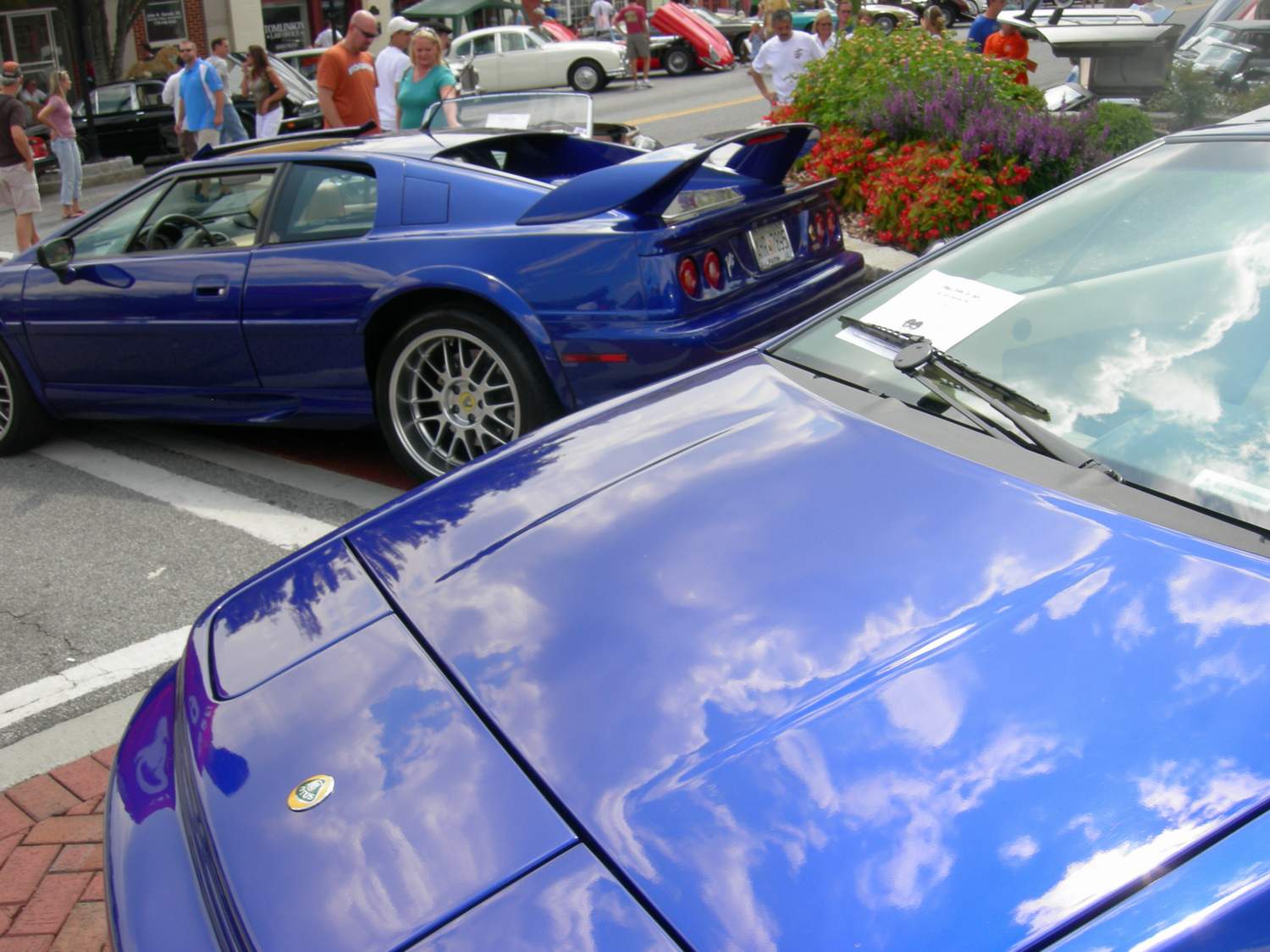 DSCN6910-1.JPG