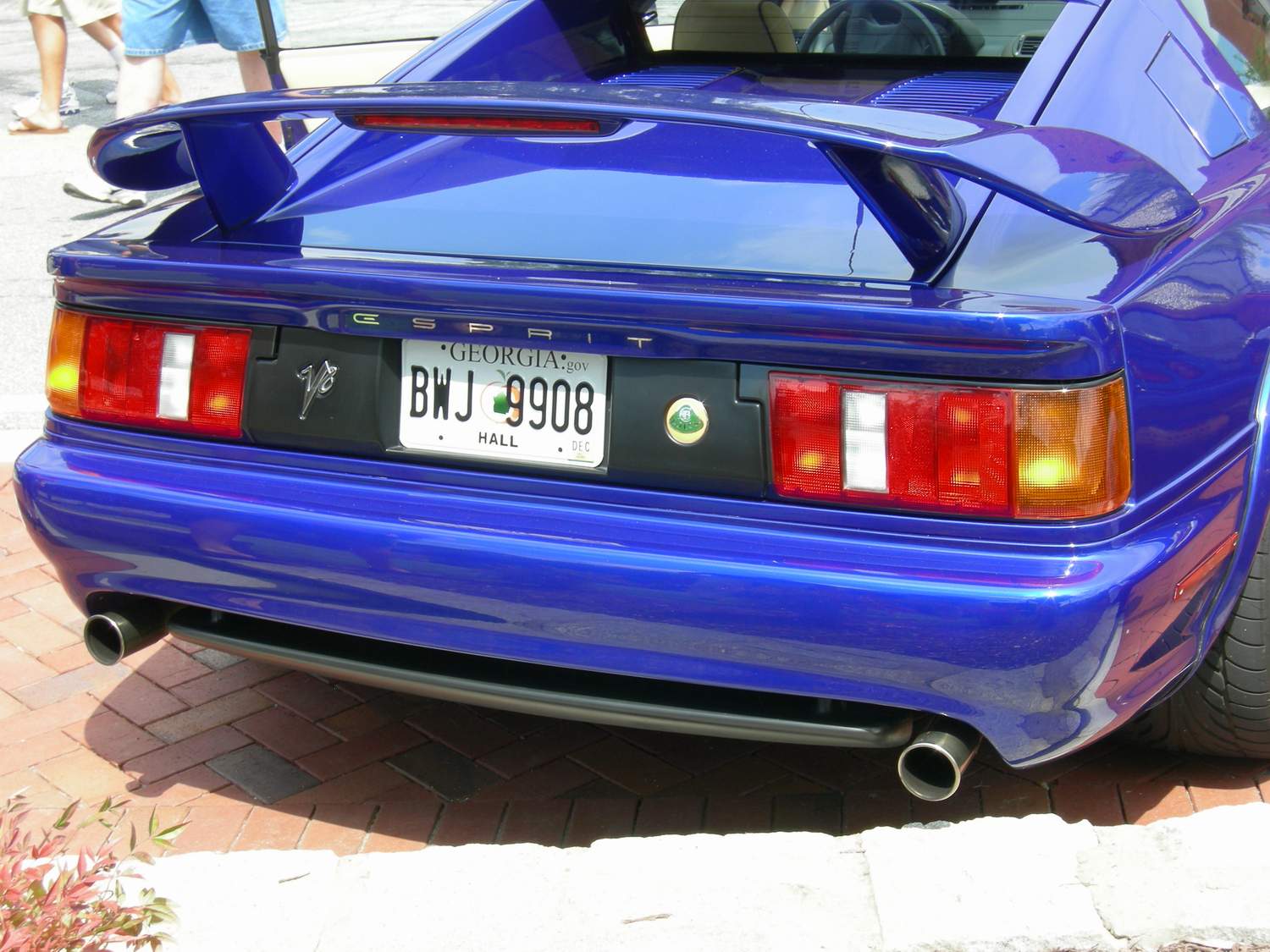 DSCN7033-1.JPG