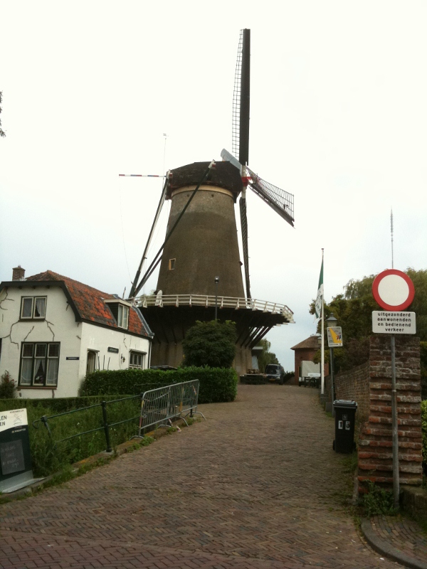 IMG_0855 (600x800).jpg