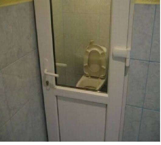toilet door.jpg