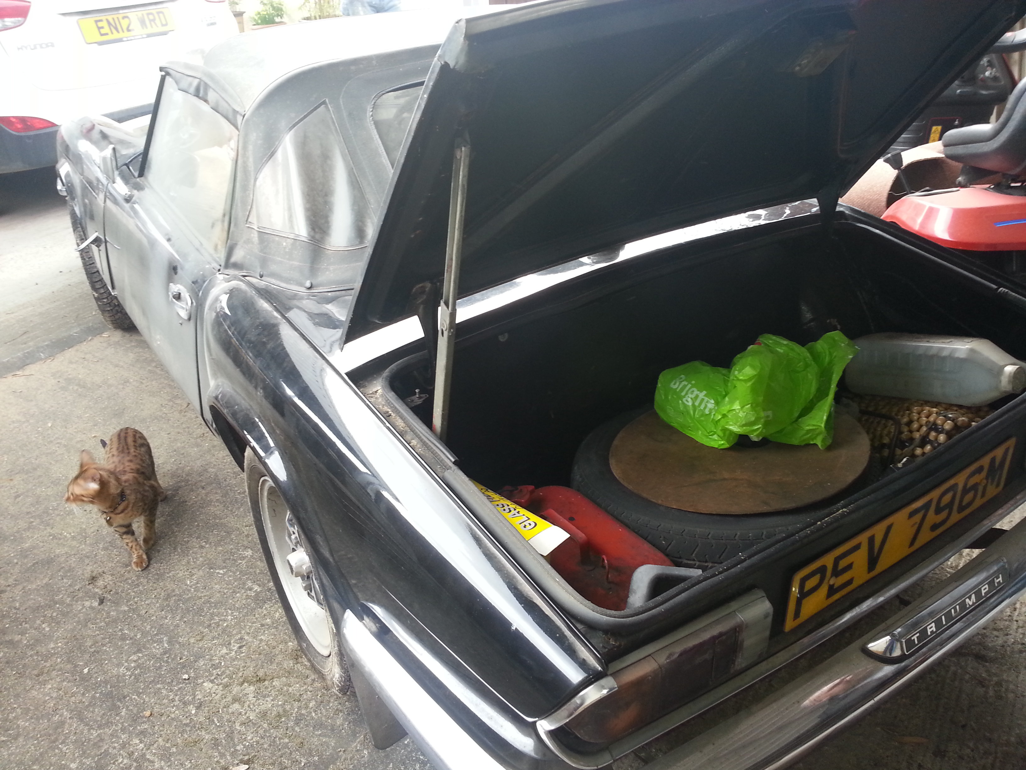 20130329_110223.jpg