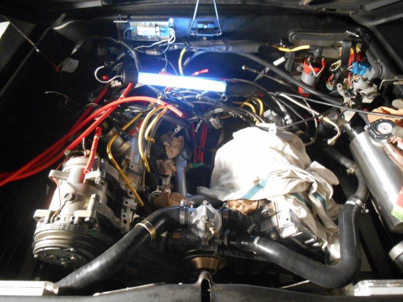 DSCN3397.JPG