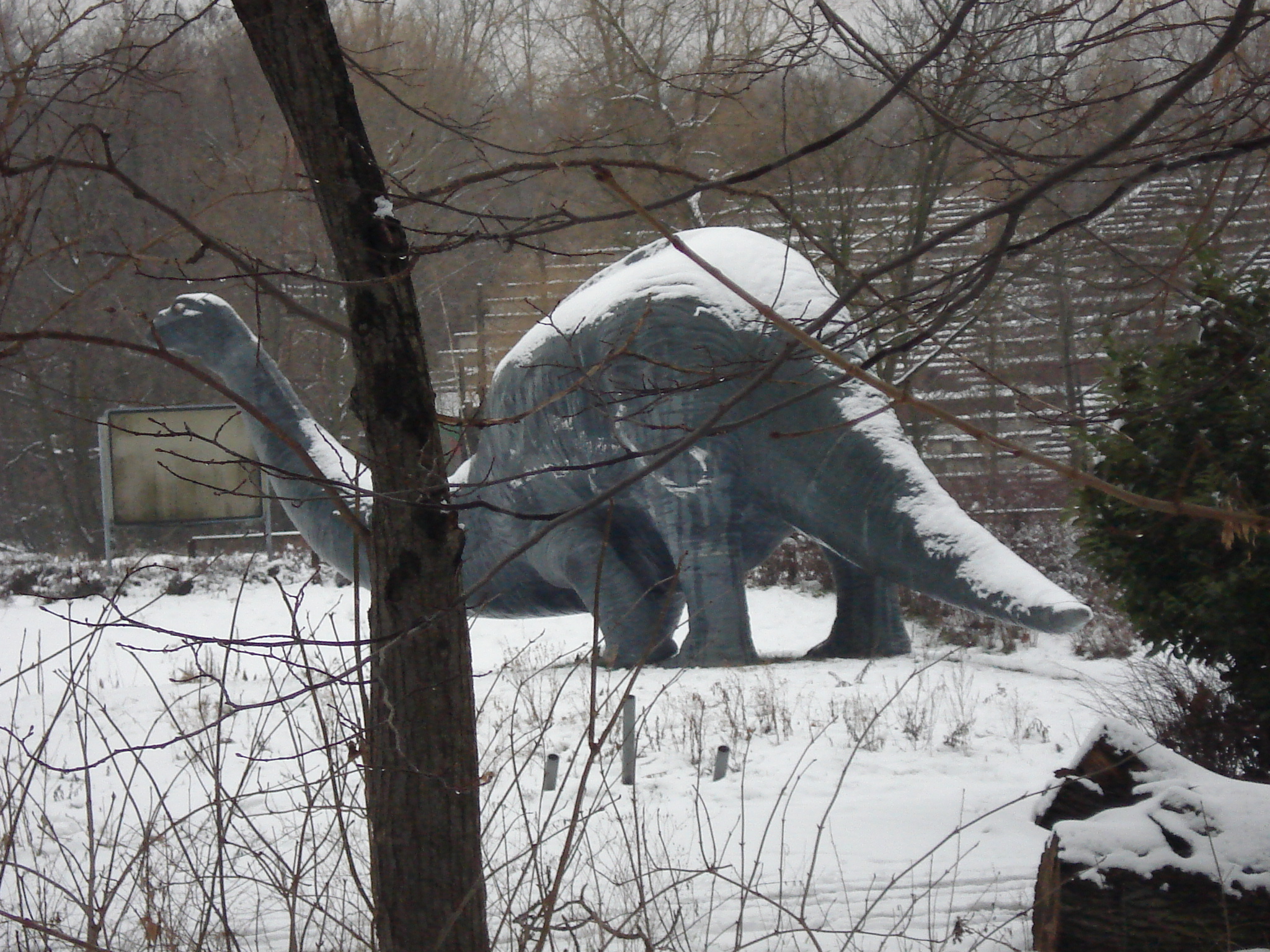 dinosaur.jpg
